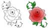 Temporary rose tattoo design